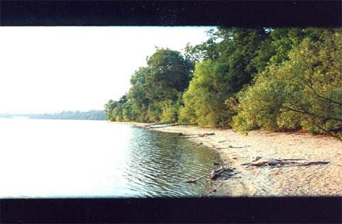 Shoreline of Lake Ronkonkoma